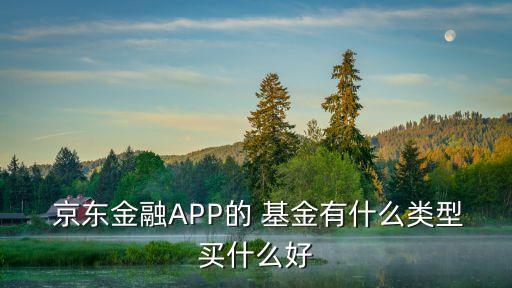  京東金融APP的 基金有什么類型買什么好