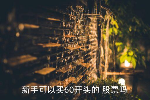 新手可以買(mǎi)60開(kāi)頭的 股票嗎