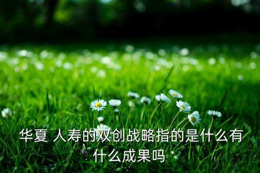  華夏 人壽的雙創(chuàng)戰(zhàn)略指的是什么有什么成果嗎