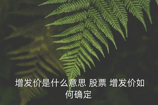  增發(fā)價是什么意思 股票 增發(fā)價如何確定