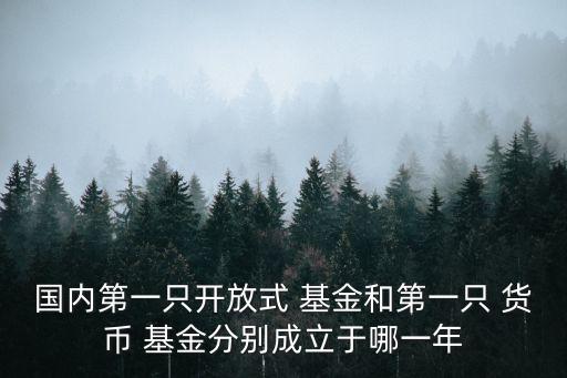 國(guó)內(nèi)第一只開放式 基金和第一只 貨幣 基金分別成立于哪一年