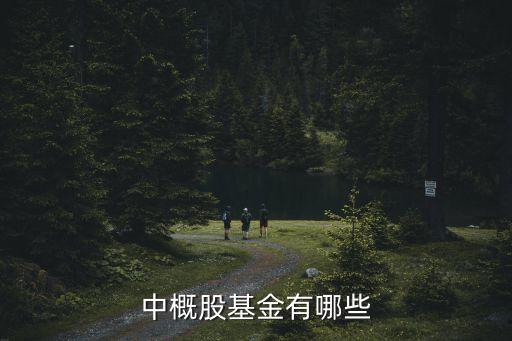 中概股基金有哪些