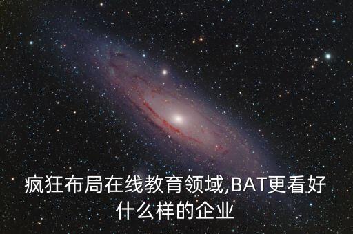 bat投資的公司