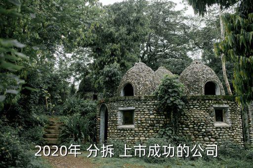 2020年 分拆 上市成功的公司