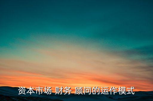 諍實財務(wù)顧問公司,秉實財務(wù)顧問(海南)