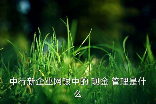 中行新企業(yè)網(wǎng)銀中的 現(xiàn)金 管理是什么