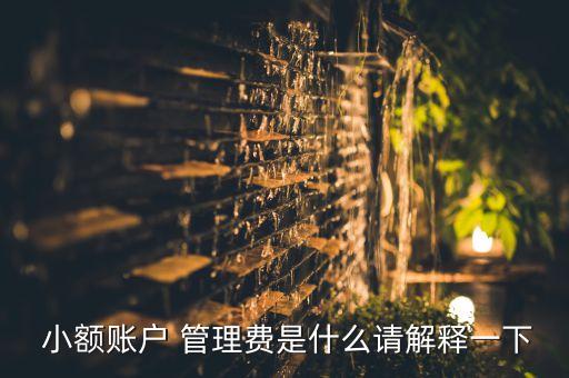  小額賬戶 管理費(fèi)是什么請解釋一下