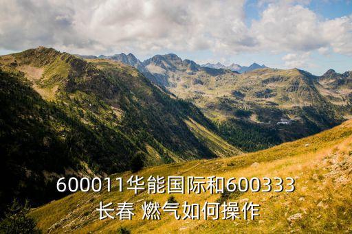 600011華能國際和600333 長春 燃氣如何操作