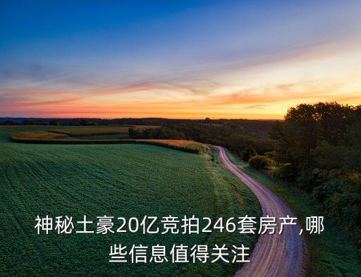 神秘土豪20億競拍246套房產(chǎn),哪些信息值得關注