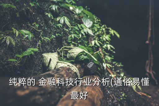 純粹的 金融科技行業(yè)分析(通俗易懂最好