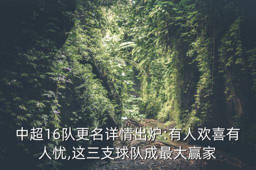 中超16隊更名詳情出爐:有人歡喜有人憂,這三支球隊成最大贏家