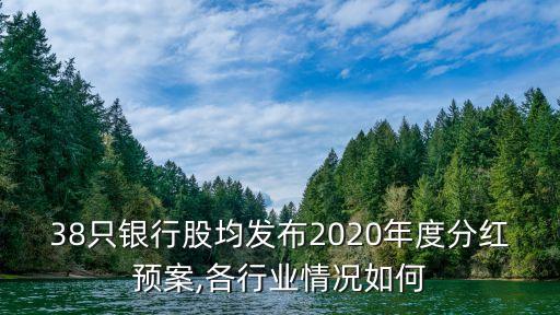 38只銀行股均發(fā)布2020年度分紅預案,各行業(yè)情況如何