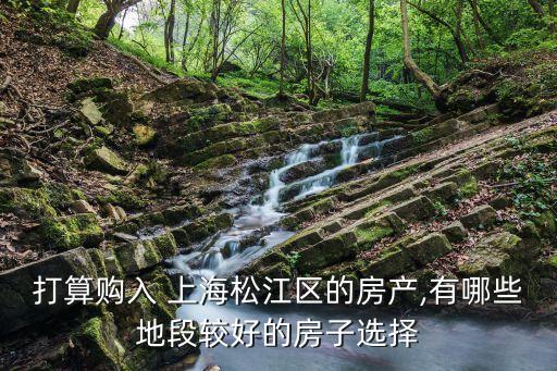 打算購入 上海松江區(qū)的房產(chǎn),有哪些地段較好的房子選擇