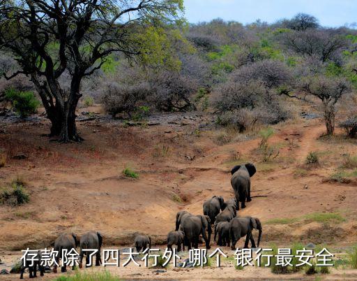 存款除了四大行外,哪個(gè) 銀行最安全