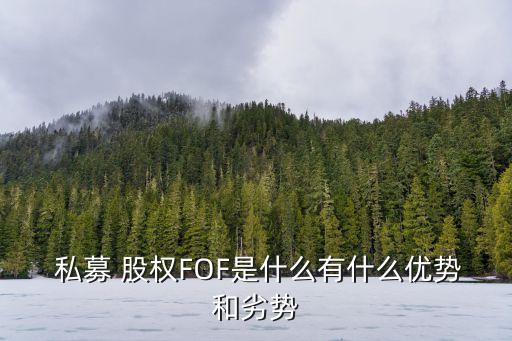 私募股權(quán)投資前景,不動產(chǎn)私募股權(quán)投資基金