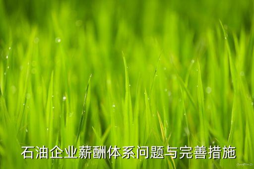  石油企業(yè)薪酬體系問(wèn)題與完善措施