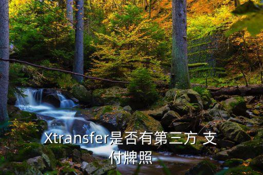 Xtransfer是否有第三方 支付牌照