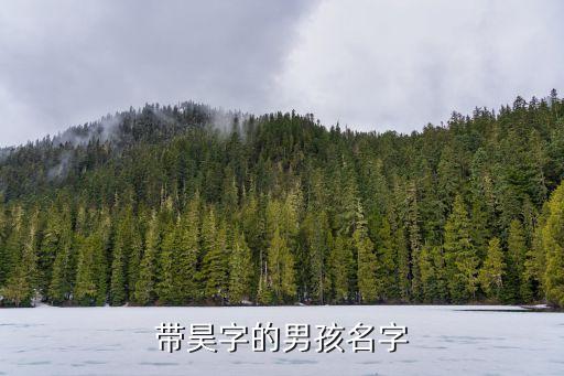 北京昊煜工貿(mào)有限責(zé)任公司,北京文海陽(yáng)工貿(mào)有限責(zé)任公司