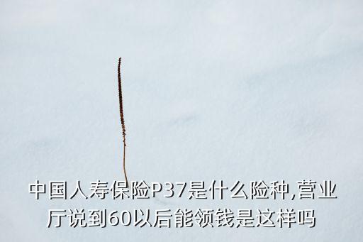 中國人壽保險(xiǎn)P37是什么險(xiǎn)種,營業(yè)廳說到60以后能領(lǐng)錢是這樣嗎