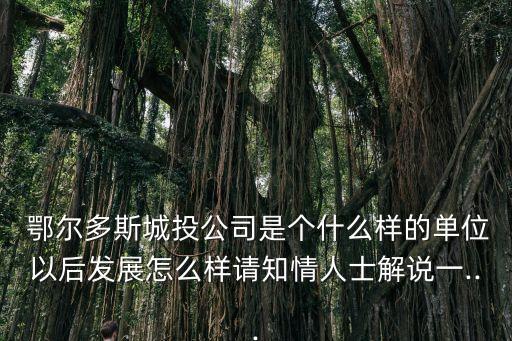  鄂爾多斯城投公司是個(gè)什么樣的單位以后發(fā)展怎么樣請知情人士解說一...