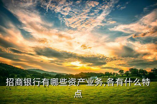 招商銀行有哪些資產(chǎn)業(yè)務(wù),各有什么特點(diǎn)