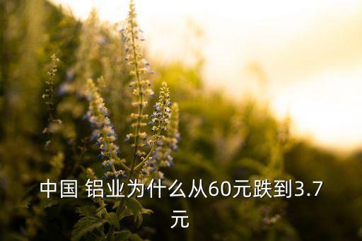 中國(guó) 鋁業(yè)為什么從60元跌到3.7元