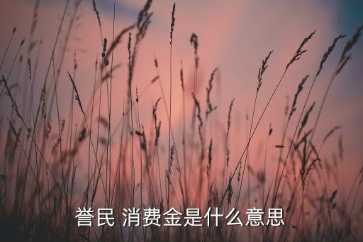 譽(yù)民 消費(fèi)金是什么意思