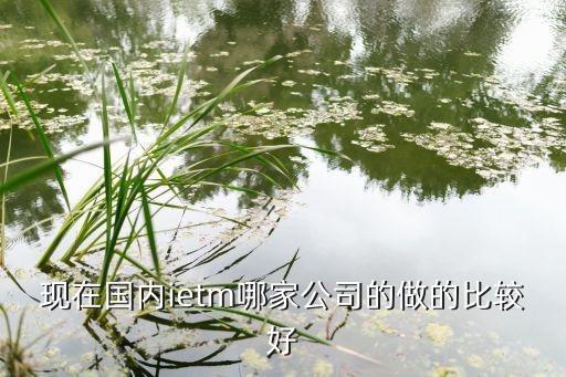 現(xiàn)在國內(nèi)ietm哪家公司的做的比較好