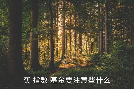 買 指數(shù) 基金要注意些什么