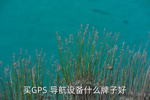 買GPS 導(dǎo)航設(shè)備什么牌子好