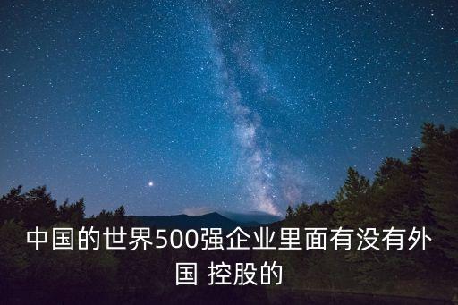 中國的世界500強(qiáng)企業(yè)里面有沒有外國 控股的