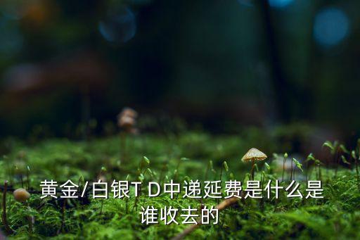  黃金/白銀T D中遞延費是什么是誰收去的