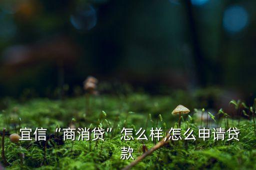  宜信“商消貸”怎么樣,怎么申請(qǐng)貸款