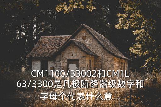 CM1100/33002和CM1L63/3300是幾極斷路器級數(shù)字和字母個代表什么意...