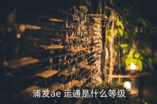  浦發(fā)ae 運通是什么等級