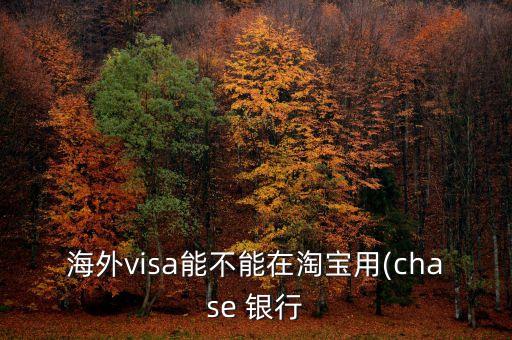 海外visa能不能在淘寶用(chase 銀行