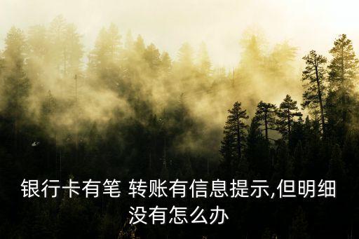 銀行卡有筆 轉(zhuǎn)賬有信息提示,但明細(xì)沒有怎么辦