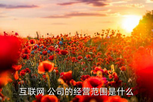 互聯(lián)網(wǎng) 公司的經(jīng)營范圍是什么