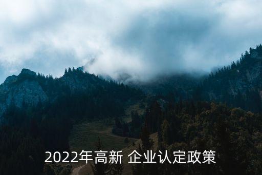 2022年高新 企業(yè)認(rèn)定政策