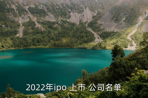 2022年ipo 上市 公司名單