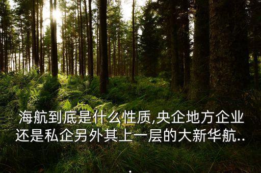  海航到底是什么性質,央企地方企業(yè)還是私企另外其上一層的大新華航...