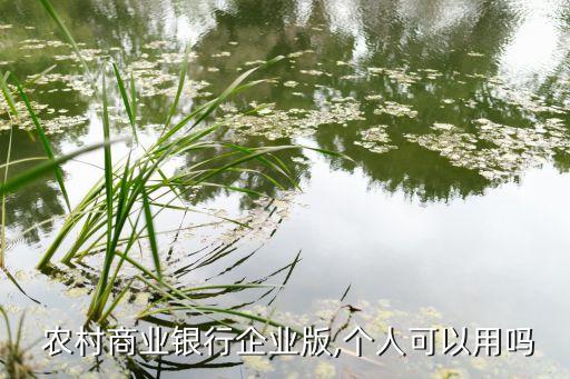 長(zhǎng)沙農(nóng)村合作銀行開對(duì)公賬戶,長(zhǎng)沙商轉(zhuǎn)公直轉(zhuǎn)合作銀行有哪些