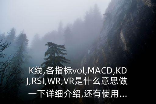 K線,各指標(biāo)vol,MACD,KDJ,RSI,WR,VR是什么意思做一下詳細(xì)介紹,還有使用...