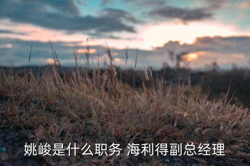 姚峻是什么職務(wù) 海利得副總經(jīng)理