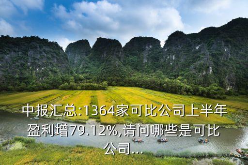 中報匯總:1364家可比公司上半年盈利增79.12%,請問哪些是可比公司...