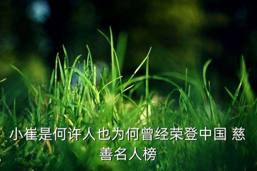 小崔是何許人也為何曾經(jīng)榮登中國 慈善名人榜