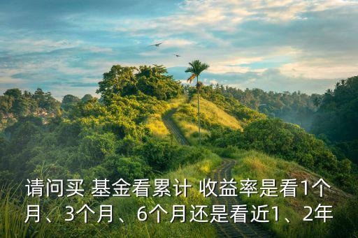 請問買 基金看累計 收益率是看1個月、3個月、6個月還是看近1、2年