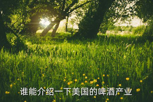 誰能介紹一下美國的啤酒產(chǎn)業(yè)