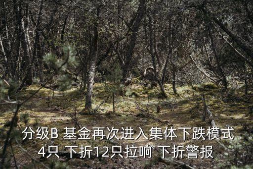 分級杠桿基金b下折,分級基金杠桿在牛熊市如何變化