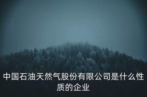 中國石油天然氣股份有限公司是什么性質(zhì)的企業(yè)